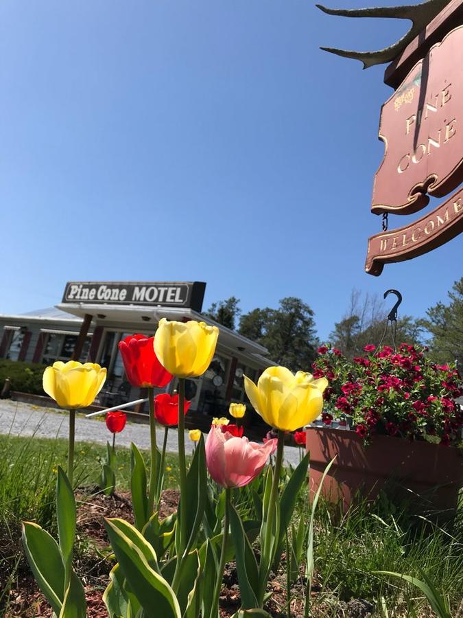 סאסקס Pinecone Motel מראה חיצוני תמונה