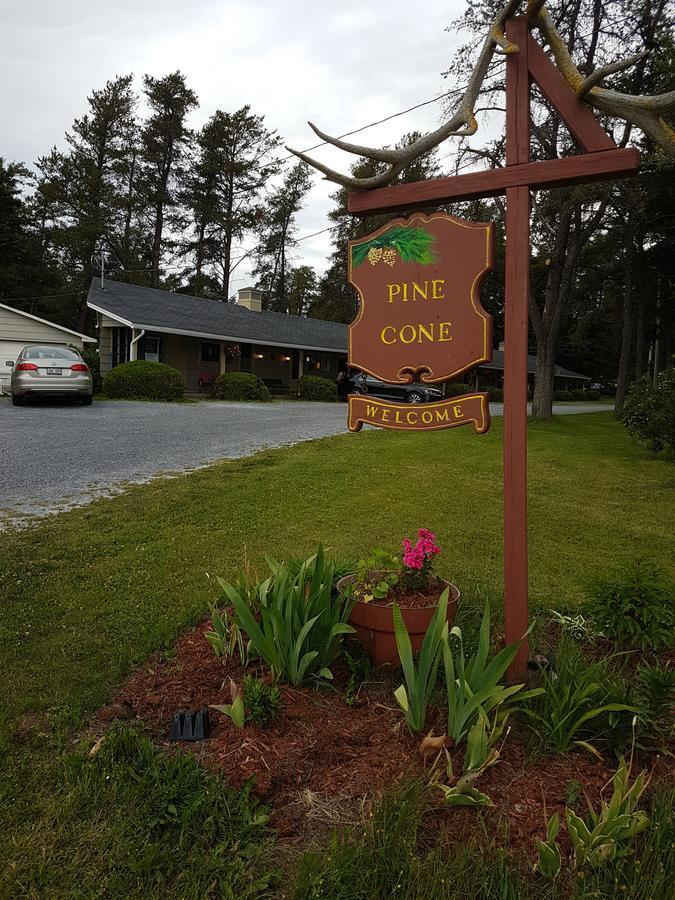 סאסקס Pinecone Motel מראה חיצוני תמונה
